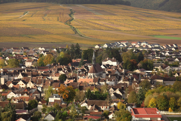 Chablis : de la Pierre au Vin - visite et dégustation  (10 personnes et +)