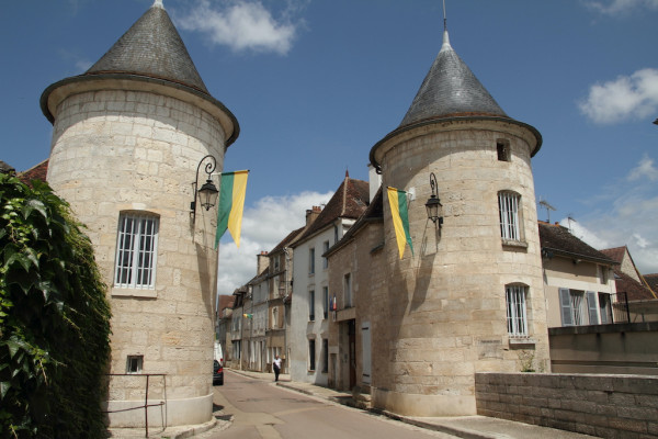 Chablis : De la pierre au vin  - visite et dégustation (1 à 9 personnes)