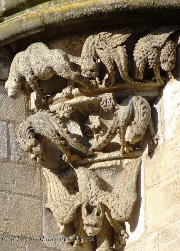 Dijon, jungle urbaine!